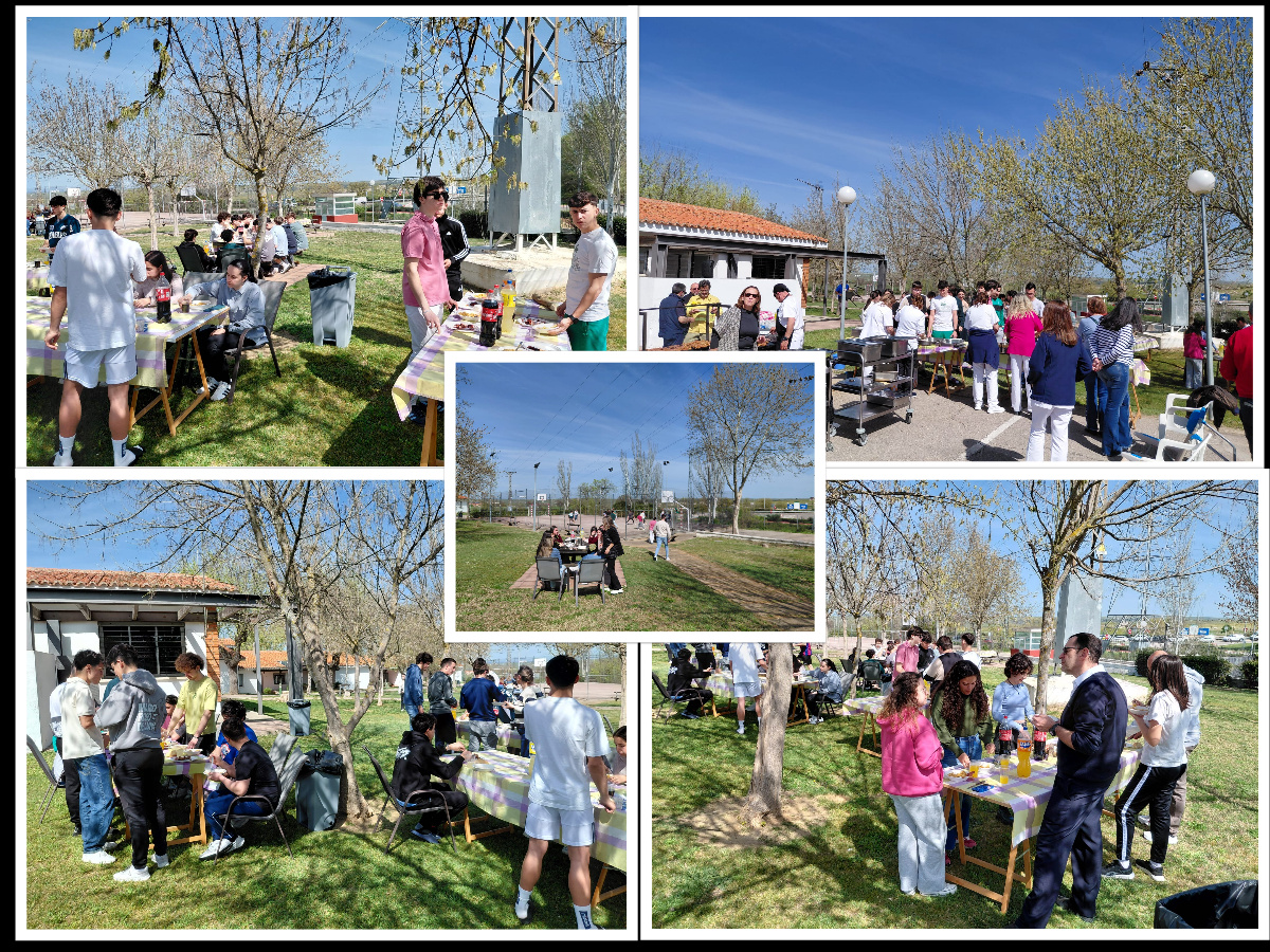collage BARBACOA.jpg