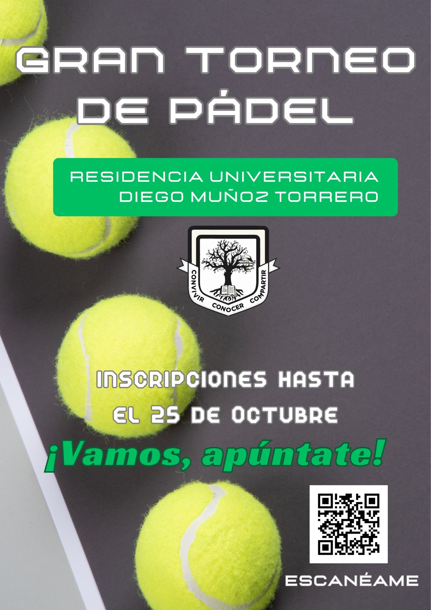 Torneo de Pdel